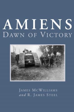Cover of the book Amiens by David Meyler, Peter Meyler