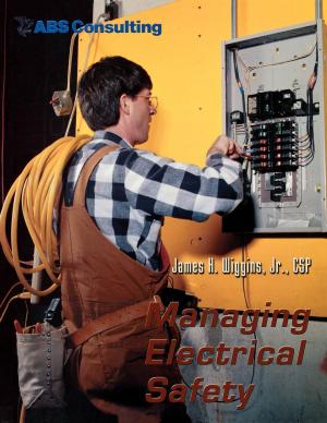 Cover of the book Managing Electrical Safety by Ridgway M. Hall Jr., Robert C. Davis Jr., Richard E. Schwartz, Nancy S. Bryson, Timothy R. McCrum