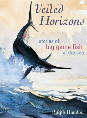 Book cover of Veiled Horizons