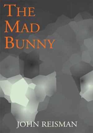 Cover of the book The Mad Bunny by William V. Healey