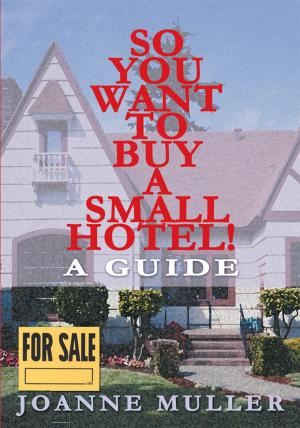 Cover of the book So You Want to Buy a Small Hotel by Victor D'Amico
