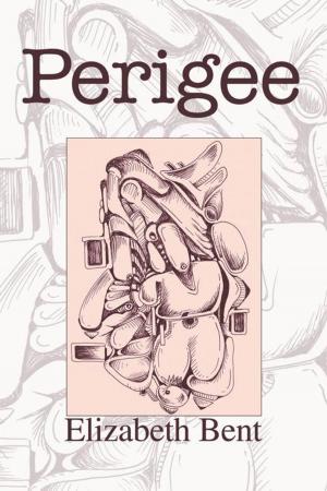 Cover of the book Perigee by Dr. Richard Guidry