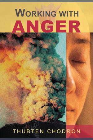 Cover of the book Working with Anger by Mallory Neeve Wilkins