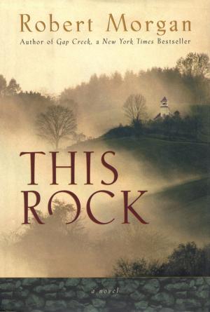 Cover of the book This Rock by Clyde Edgerton