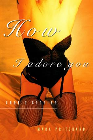 Cover of the book How I Adore You by Cory Silverberg, Miriam Kaufman