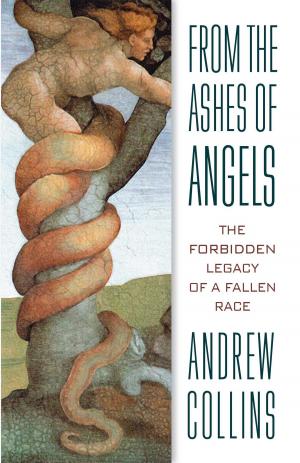 Cover of the book From the Ashes of Angels by Burt Wilson