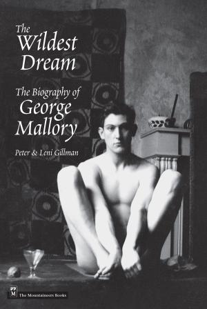 Book cover of Wildest Dream