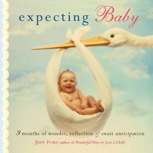 Book cover of Expecting Baby: Nine Months of Wonder Reflection and Sweet Anticipation