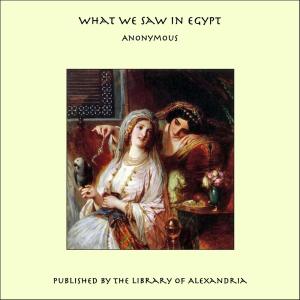 Cover of the book WHAT WE SAW IN EGYPT by Papus