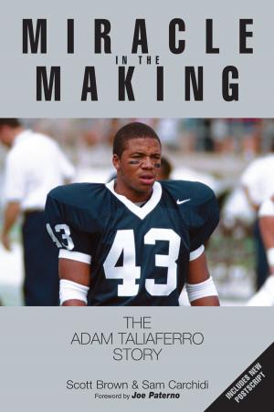 Cover of the book Miracle in the Making by Matt Lepay