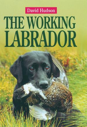 Cover of the book The Working Labrador by British Horse Society