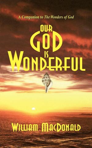 Cover of the book Our God is Wonderful by Андрей Курков
