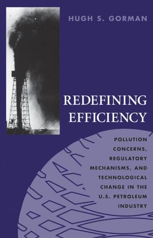 Cover of the book Redefining Efficiency by Oliver de la Paz