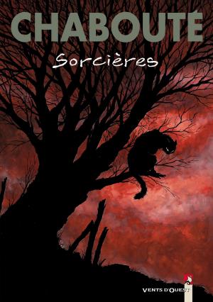 Cover of the book Sorcières by Sylvia Douyé, Fabio Lai