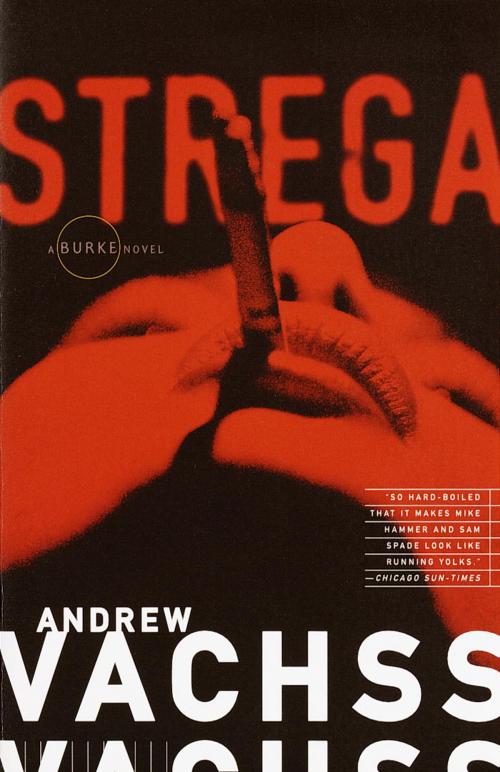 Cover of the book Strega by Andrew Vachss, Knopf Doubleday Publishing Group