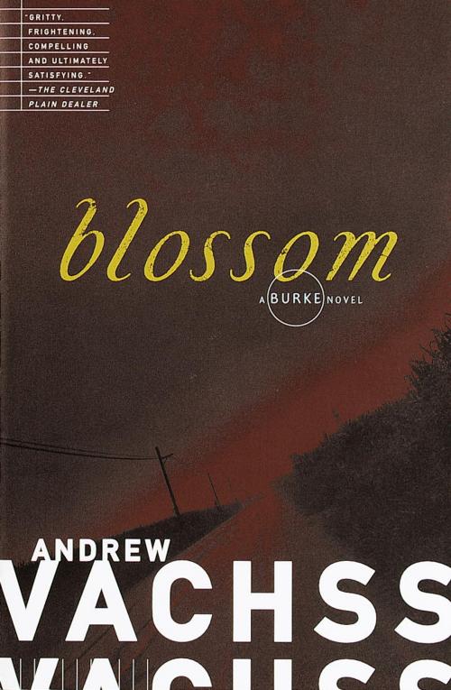 Cover of the book Blossom by Andrew Vachss, Knopf Doubleday Publishing Group