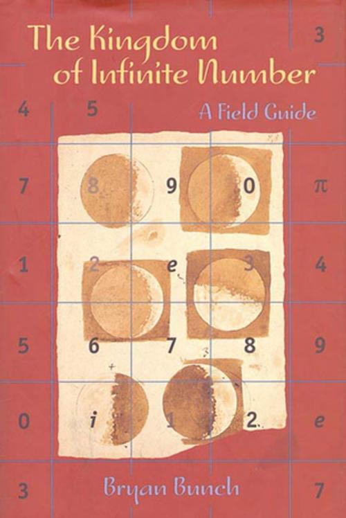 Cover of the book The Kingdom of Infinite Number by Bryan Bunch, Henry Holt and Co.