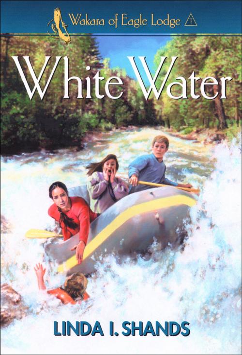Cover of the book White Water (Wakara of Eagle Lodge Book #3) by Linda I. Shands, Baker Publishing Group