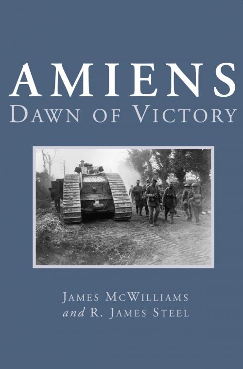 Cover of the book Amiens by James McWilliams, Dundurn