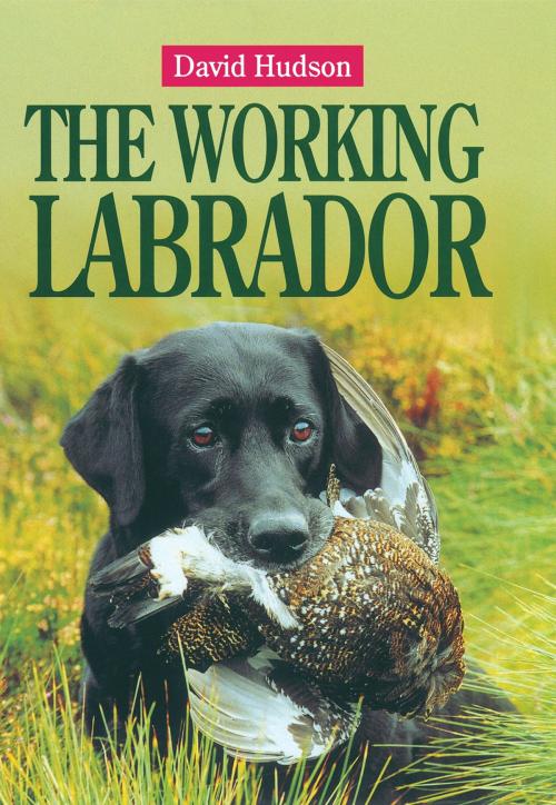 Cover of the book The Working Labrador by David Hudson, Quiller