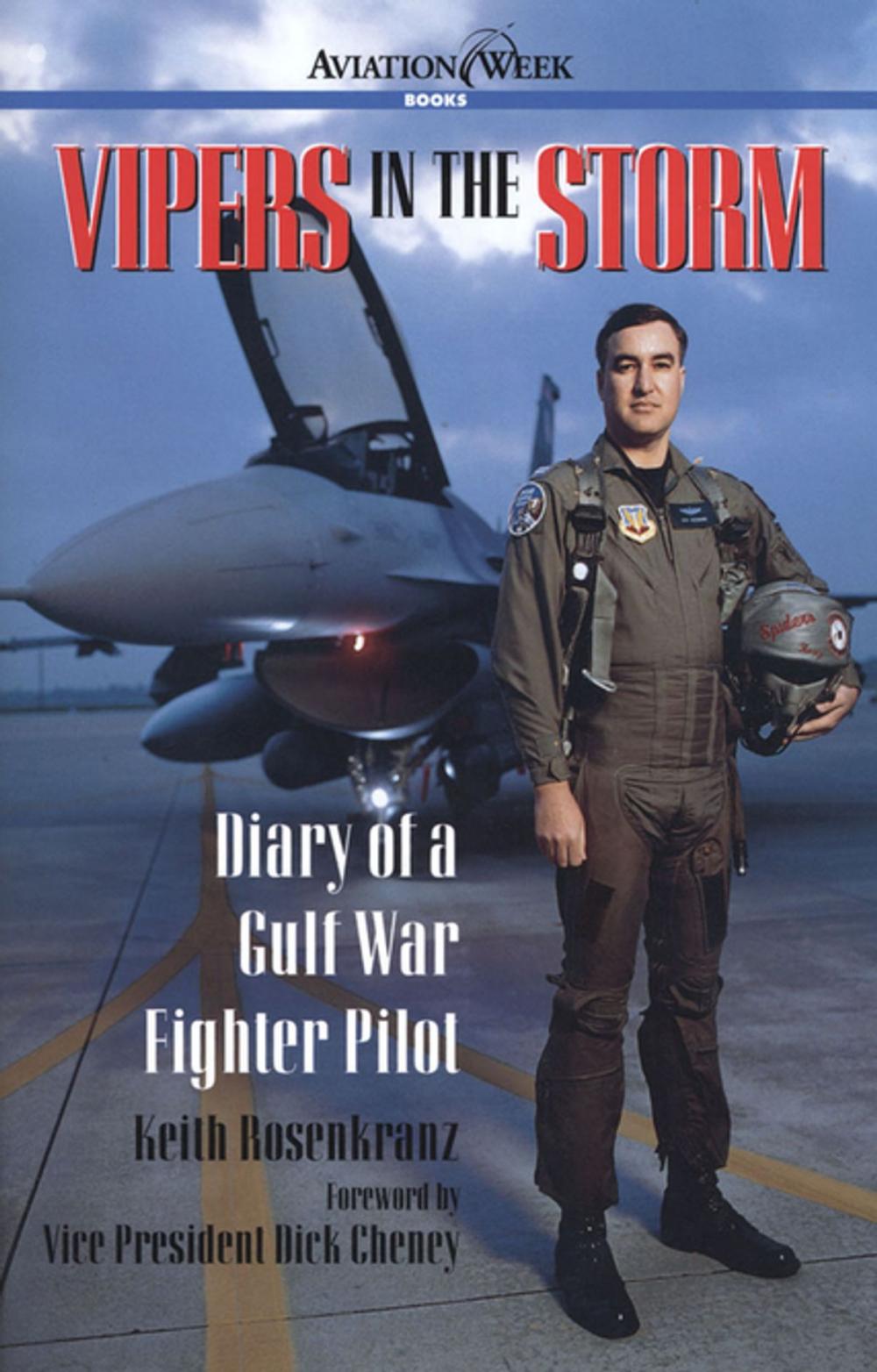 Big bigCover of Vipers in the Storm: Diary of a Gulf War Fighter Pilot