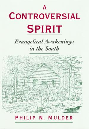 Cover of the book A Controversial Spirit by Bruce A. Arrigo, Heather Y. Bersot, Brian G. Sellers