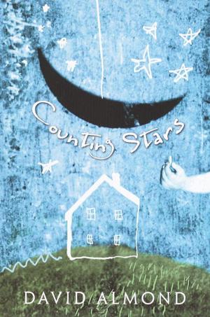 Cover of the book Counting Stars by Barbara Park