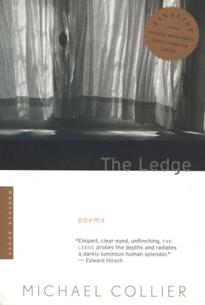 Cover of the book The Ledge by Keith Baker