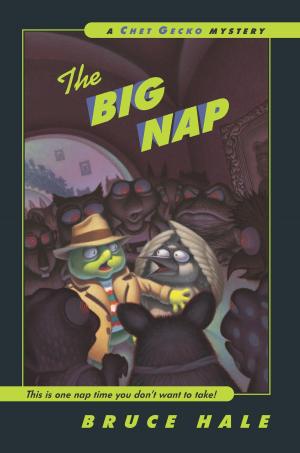 Cover of the book The Big Nap by Kim Haasarud, Alexandra Grablewski