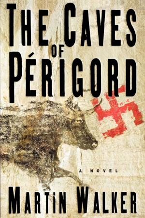 Cover of the book The Caves of Perigord by Beth White