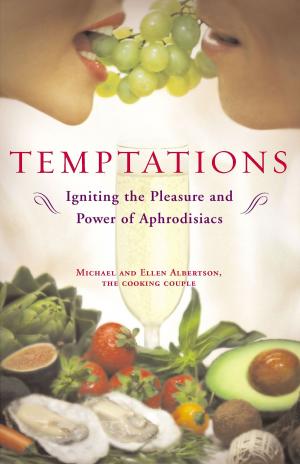 Cover of the book Temptations by Michelle Moran