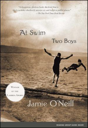 Cover of the book At Swim, Two Boys by Ed Stack