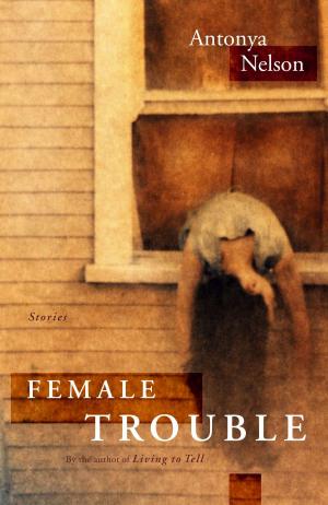 Cover of the book Female Trouble by AJ Pearce
