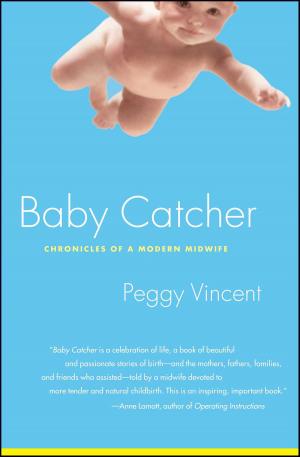 Cover of the book Baby Catcher by Julie Schooler