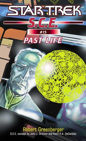 Cover of the book Star Trek: Past Life by Steve Umstead