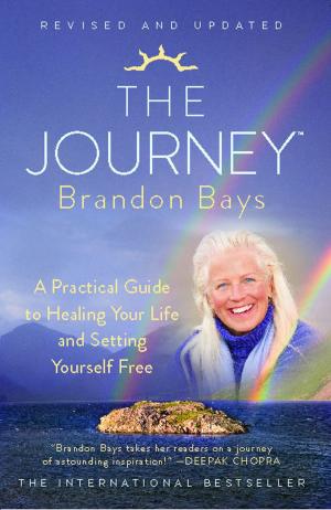 Cover of the book The Journey by Ted Bell