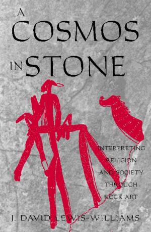 Cover of the book A Cosmos in Stone by Clifford Barnett, Paul L. Doughty, Jorge Flores Ochoa, Billie Jean Isbell, William Mangin, Enrique Mayer, William P. Mitchell, Karsten Paerregaard, Jason Pribilsky, Eric B. Ross