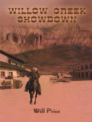 Cover of the book Willow Creek Showdown by Mike Wayne Hester