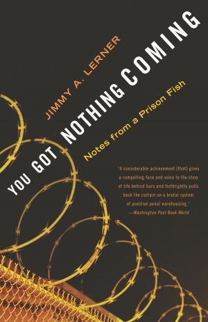 Cover of the book You Got Nothing Coming by Anna Sofie Scavenius