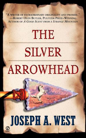 Cover of the book The Silver Arrowhead by Jodi Thomas