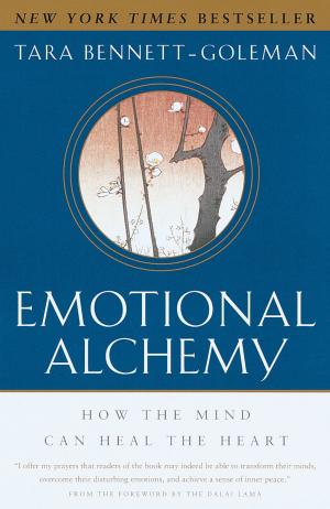 Book cover of Emotional Alchemy