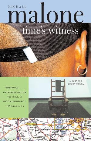 Cover of the book Time's Witness by Joy Preble