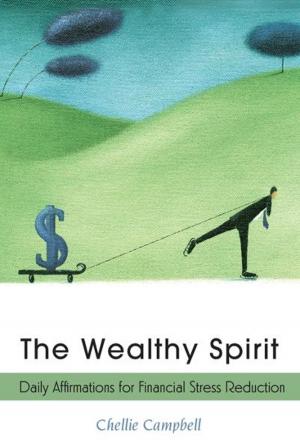 Cover of the book The Wealthy Spirit by Vicki Delany