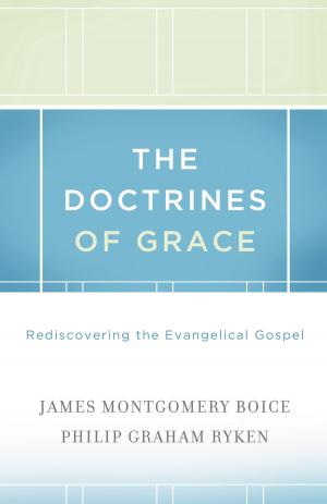 Cover of the book The Doctrines Of Grace Rediscovering The Evangelical Gospel by Jerry Bridges, Bob Bevington