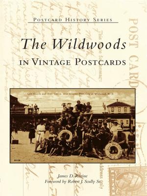 Book cover of The Wildwoods in Vintage Postcards