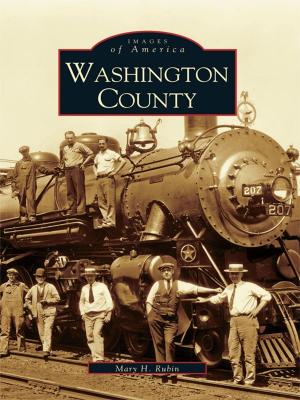 Cover of the book Washington County by Wesley H. Clark, Michael B. McDaniel