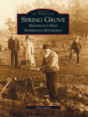 Cover of the book Spring Grove by Chuck Flood