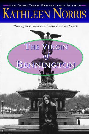 Cover of the book The Virgin of Bennington by Sarah Hilary