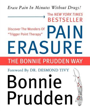 Cover of the book Pain Erasure by Sandy Huffaker, James Tertius de Kay