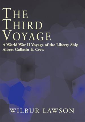 Cover of the book The Third Voyage by Renzie